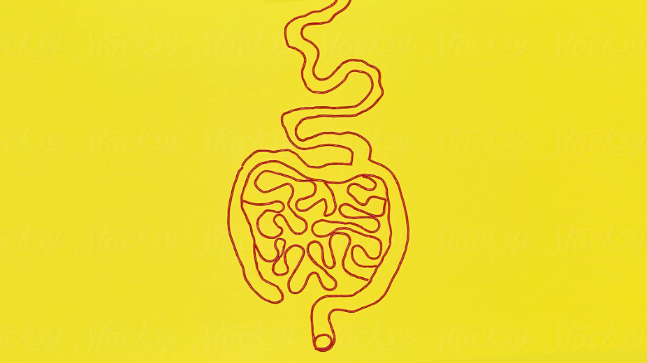Elevate Your Well-being: The Remarkable Impact of the Gut-Brain Axis